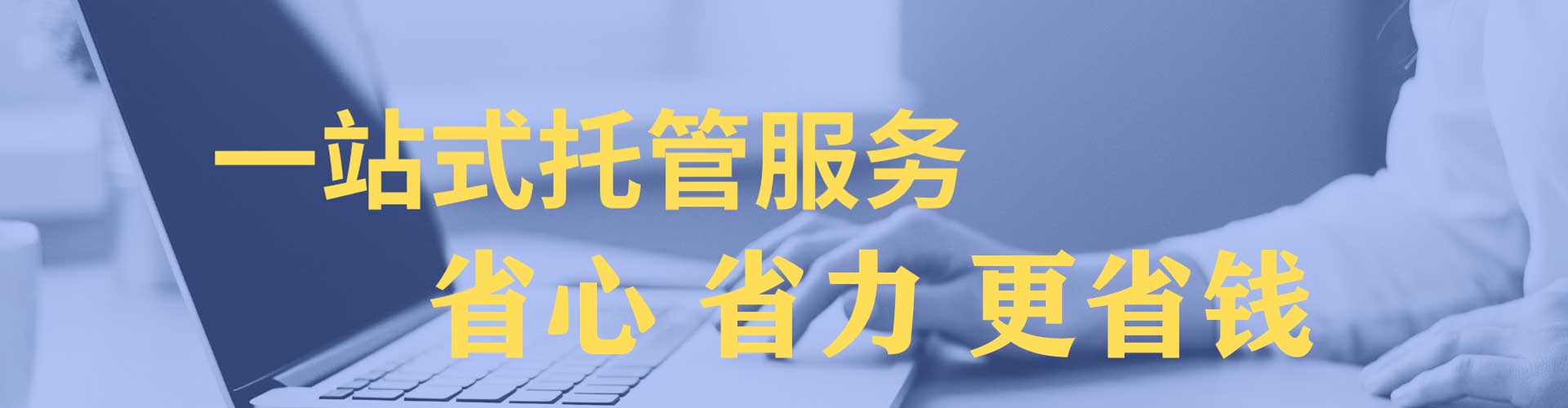 杉林竞价广告